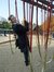 Madalin...