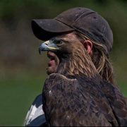 ليبي الليبي