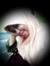 Anifira...