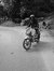 Avishek...