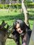 Hafsa Ali