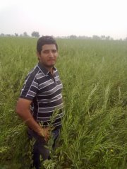 Puneet Pareek