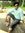 Mayur G...