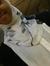 Layla M...