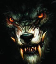 Angry Beast