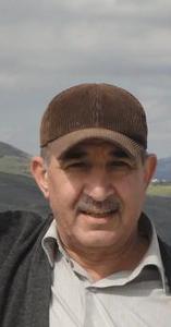د.عبد الباسط