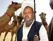 الشريف برعي