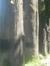 Vinod S...
