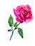 Amjad