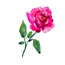 Amjad