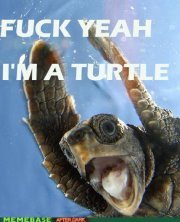 Timothée Duruisseau