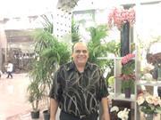 رفعت طنطاوى