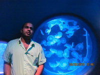 Ragunanthan Raghavan