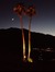 Steve Baule