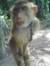 Ariff S...