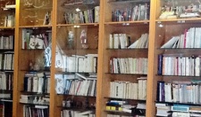 هاله المعجل