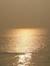 Umesh M...
