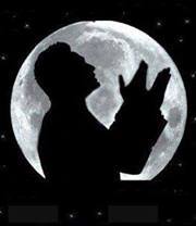 ضياء الحيإة