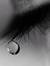 Nashwa ...