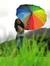 Sowmya ...