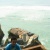 Arif Amrizal