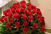 Midhat Jaghoub