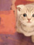 Tiny