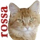 Rossa