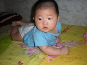 Wanjing Wang