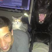 Pierre-andré Gaumond