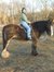 Cheri W...