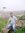 Mahmood A.