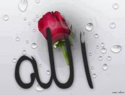 Yousra Bekhit