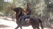 Feras Kayed