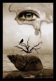 ابتسام ميرغني