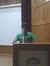 Goutham...