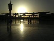 عبدالرحمن العبد