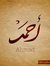 Ahmed T...