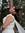 Mary Awad
