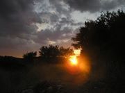 Радослав Здравков