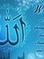 Elham Z...