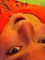Casey
