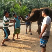 Fahmi Ere