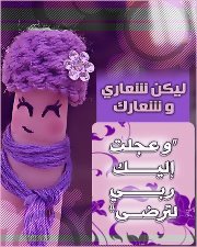 حياةأم صفوان