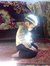 King Zakir