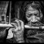 آل شينيجامي