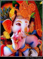 प्रसाद गोंदकर