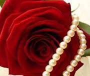 فوفو القرشي