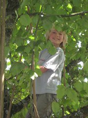 Philippa Manning-smith