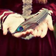 Anum Hafsa